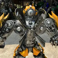 Bumblebee, the back close up