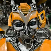 Bumblebee, the head close up